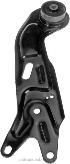 Autopeças Sorocaba 602L8569 Chevrolet braço de controle 15292403