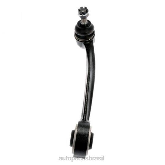 Autopeças Canoas 602L81496 Hyundai braço de controle 54405-3m000