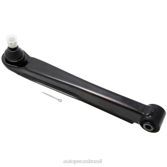 Autopeças Caxias Do Sul 602L8265 Hyundai braço de controle 55210-38000
